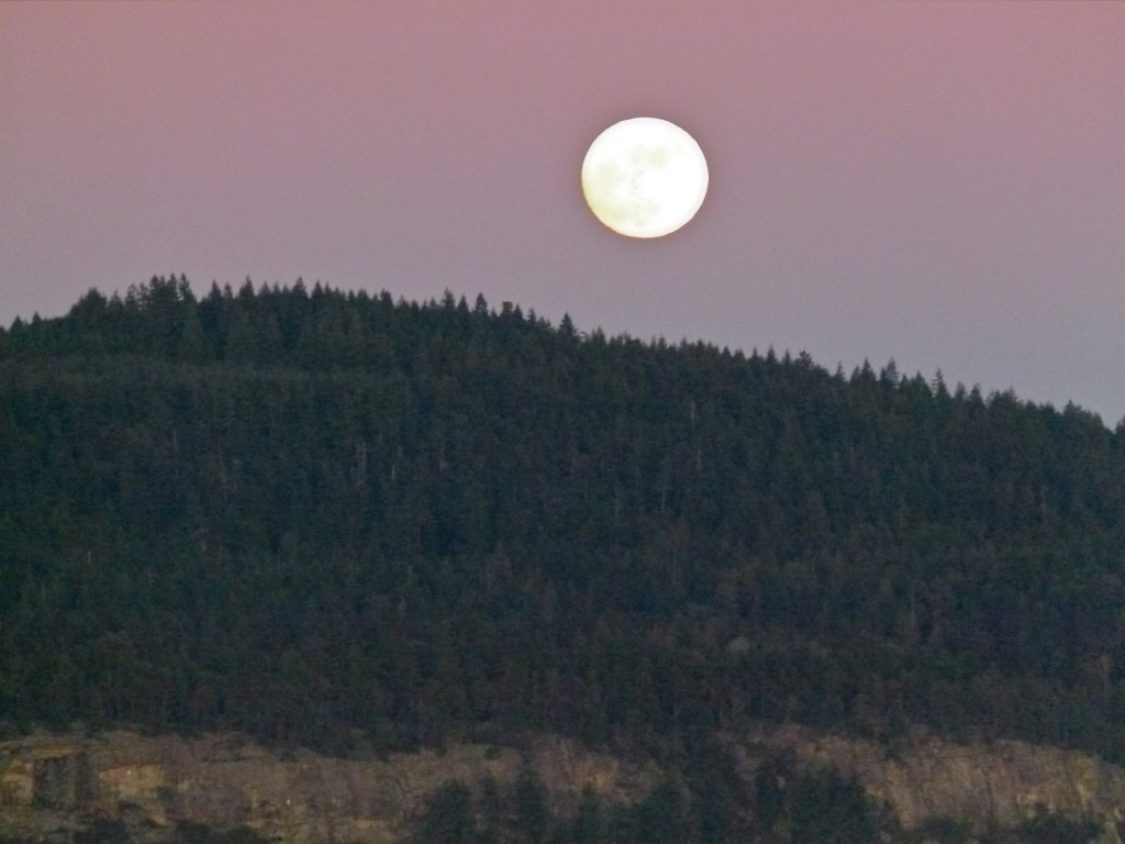 This image has an empty alt attribute; its file name is 11-jan-rising-moon.jpg